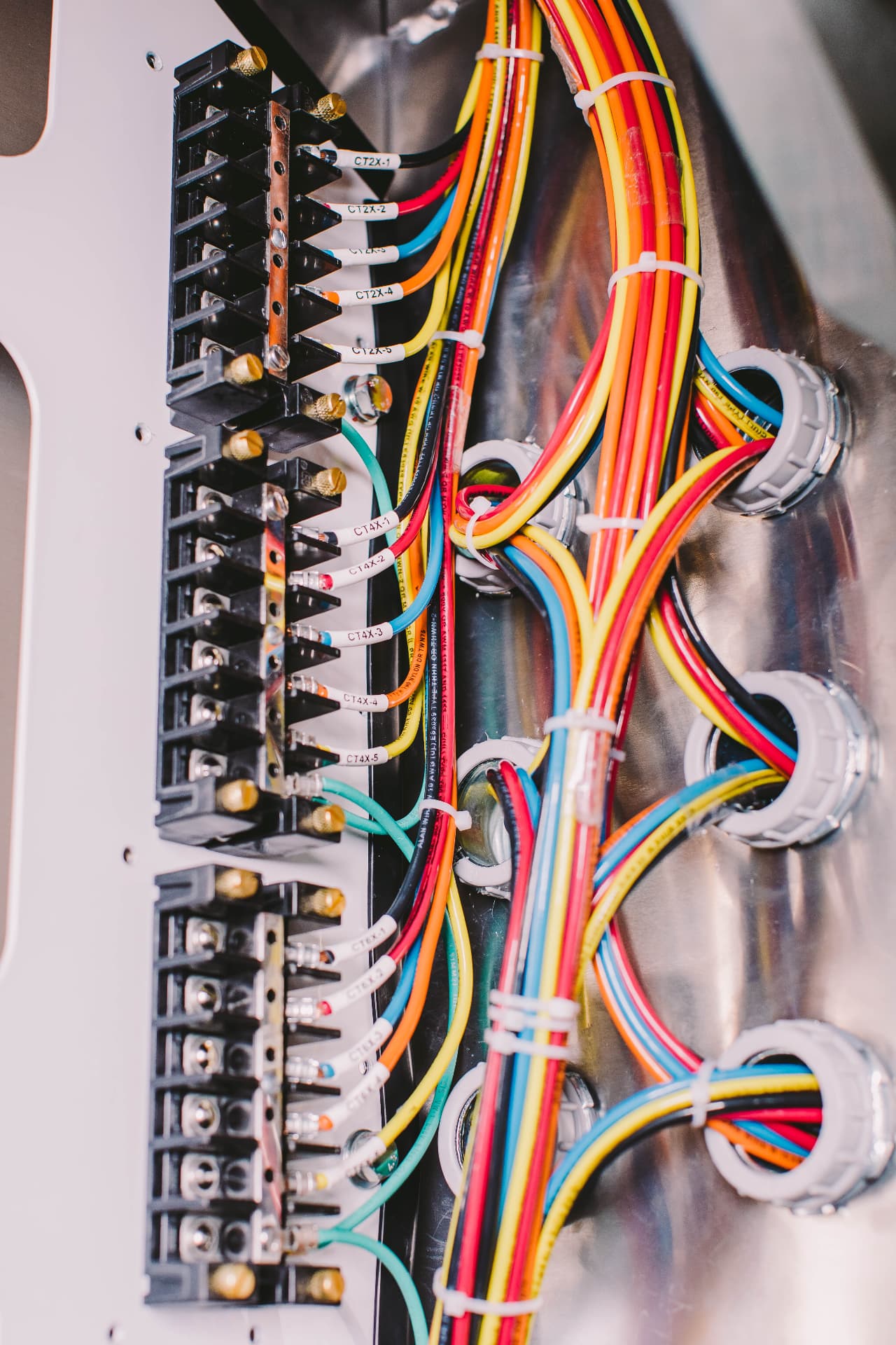 Labeled control wiring terminated inside a stainless steel cabinet